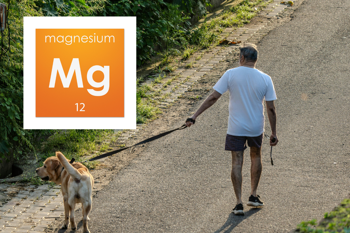 What is Magnesium and What is it Good For?